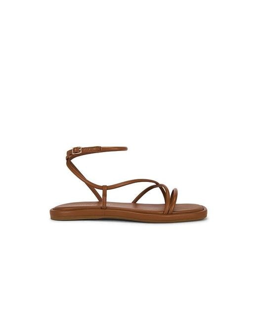 Loeffler Randall Multicolor Noor Strappy Ankle Wrap Flat Sandal
