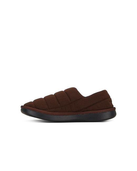 Brunch Brown Puffer Corduroy for men