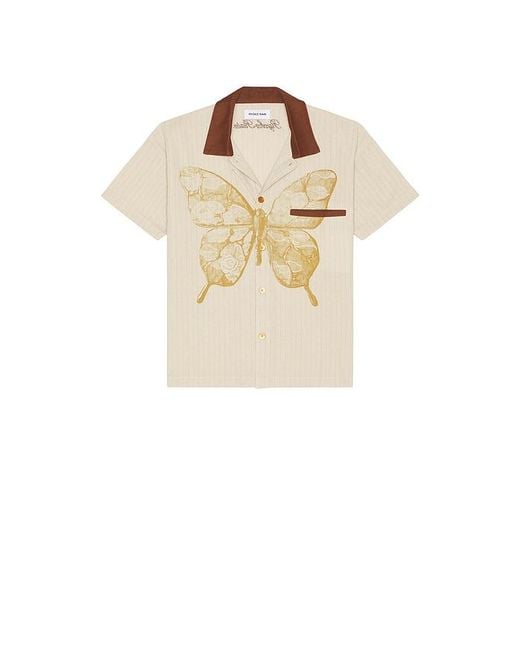 Ryoko Rain Blue Butterfly Pinstripe Button Up Shirt for men