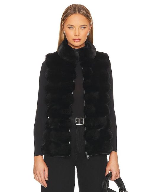 Jocelyn Black Plush Faux Fur Reversible Vest