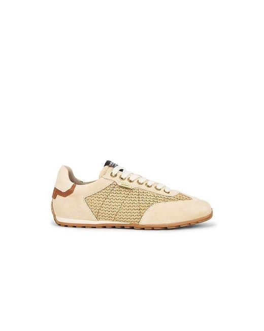 AllSaints White Liam Low Top Sneaker