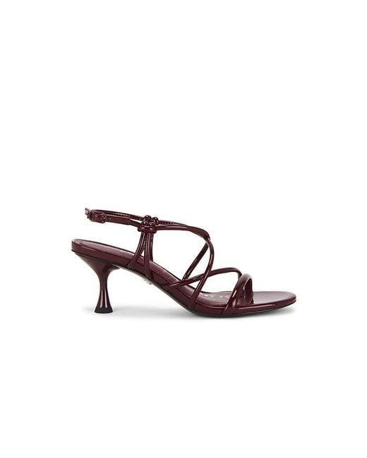 Sam Edelman Multicolor Riana Sandal