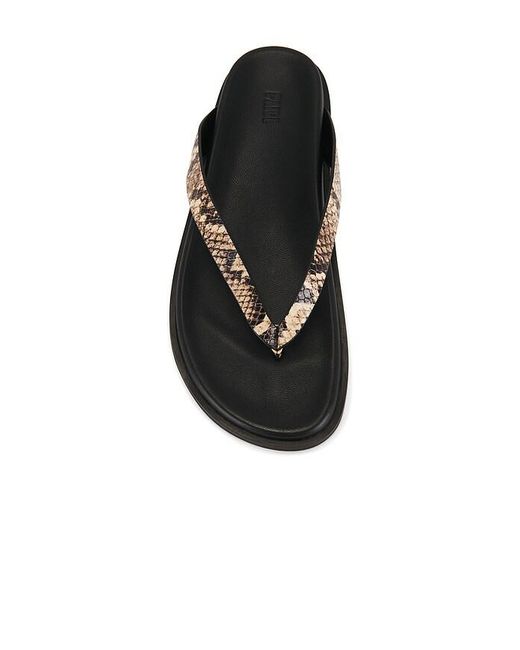 PAIGE Black Zadie Sandal