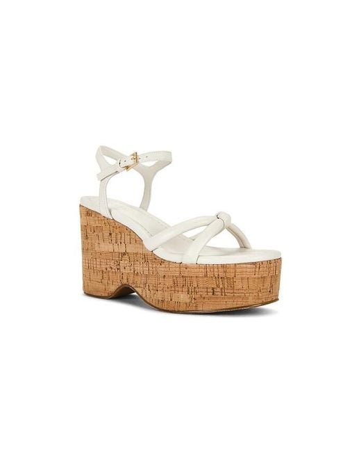 Raye White Liera Platform