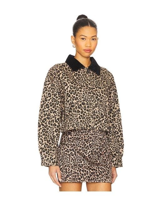 Sanctuary Multicolor Cropped Barn Jacket