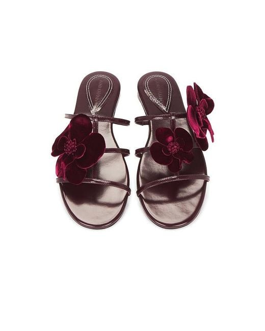 Zimmermann Multicolor Orchid Slide
