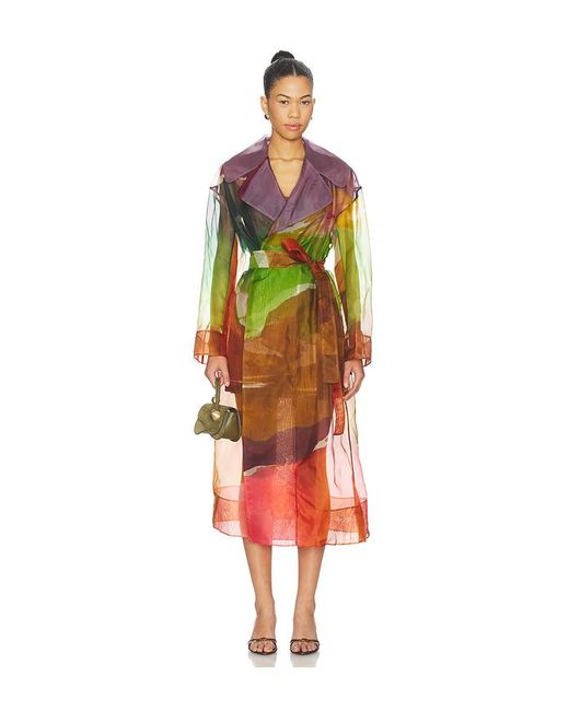 Ulla Johnson Multicolor Novalie Organza Trench Coat