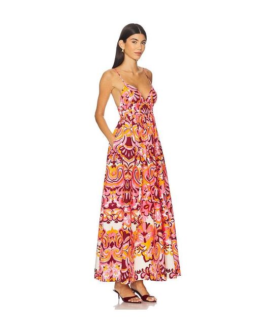 Cara Cara Red Rue Dress
