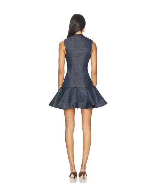 Alexis Blue Taylin Dress