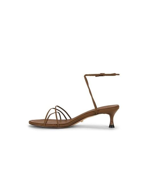 Raye Multicolor Jara Sandal