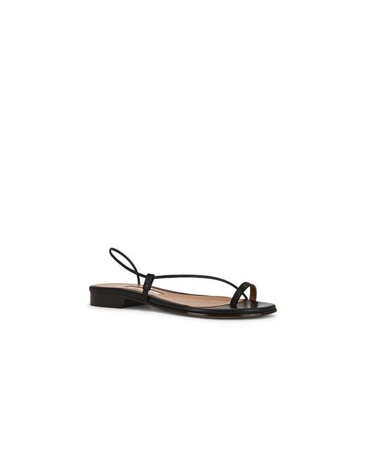 Emme Parsons Black Susan Slide