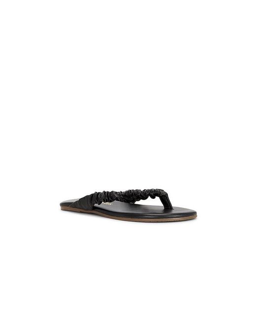 TKEES Black Savanna Sandal