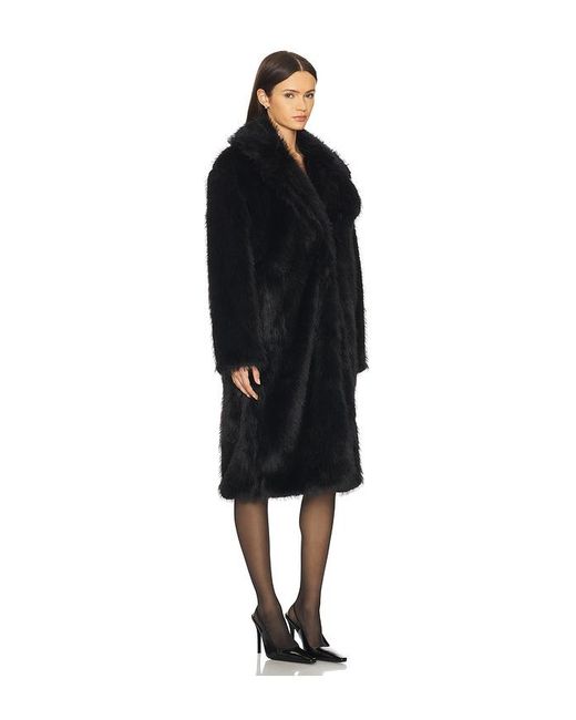 Steve Madden Black Larkin Coat