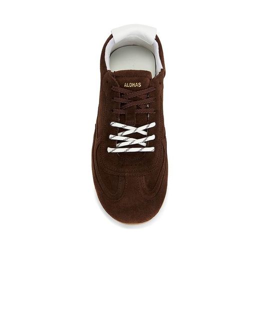 Alohas Brown Tb.24 Sneaker