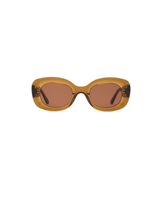 Jimmy Fairly Brown The Cinnamon Sunglasses