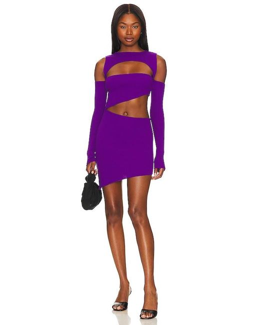 Baobab Purple Violeta Asymmetrical Mini Dress