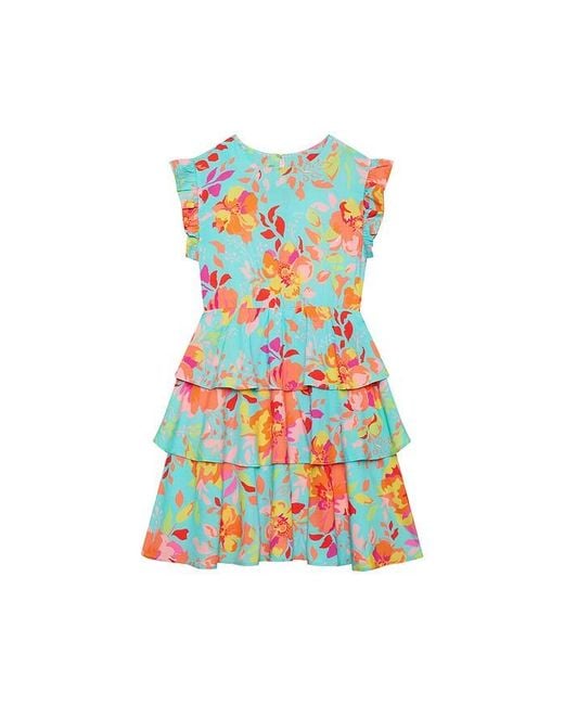 Beach Riot Multicolor Little Honey Dress