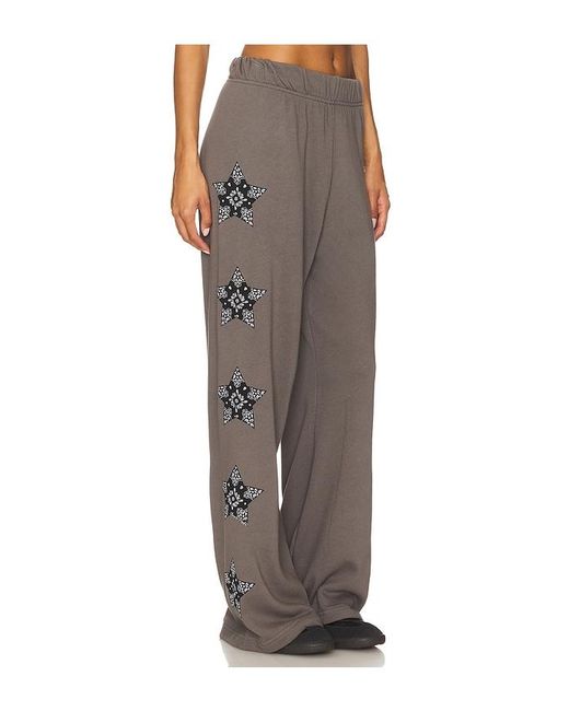 Lauren Moshi Brown Horse Wide Leg Pant