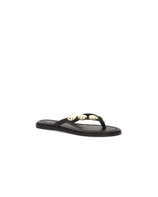 Dolce Vita Black Juny Sandal