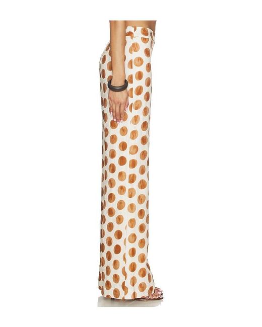 Cara Cara Multicolor Sunflower Pant