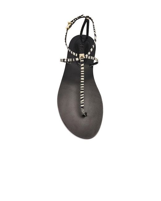 SCHUTZ SHOES Black Ester Sandal