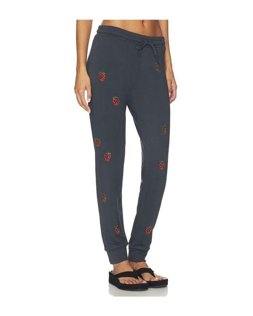 Lauren Moshi Blue Jess Lounge Pant