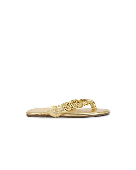 TKEES Multicolor Savanna Sandal