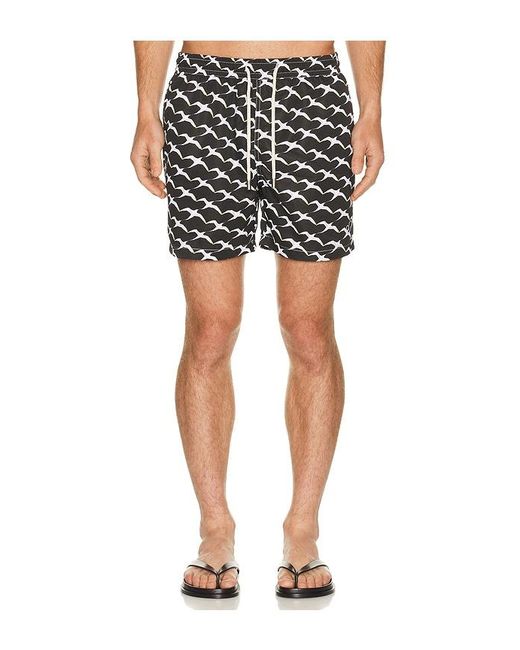 ARRELS Barcelona Black Birds X Clara Arn?S Classic Swim Shorts for men