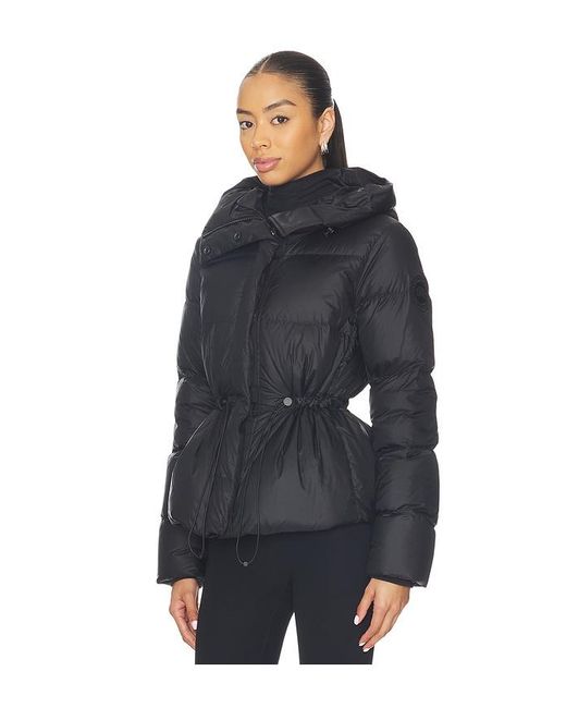 Canada Goose Blue Montgomery Jacket