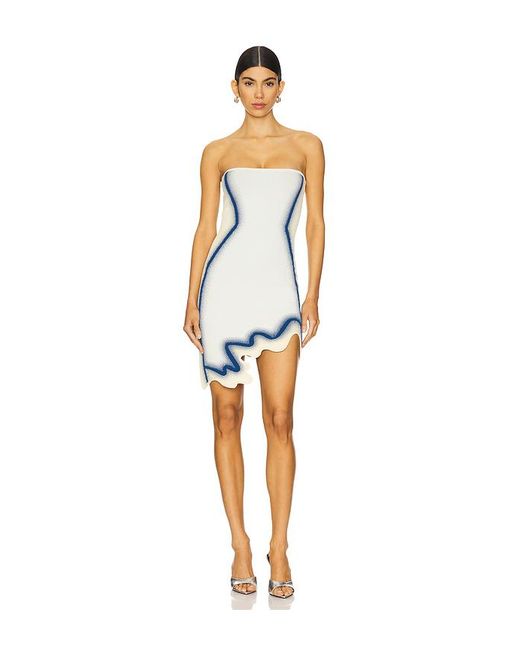 Ph5 Multicolor Camassia Mini Wavy Dress