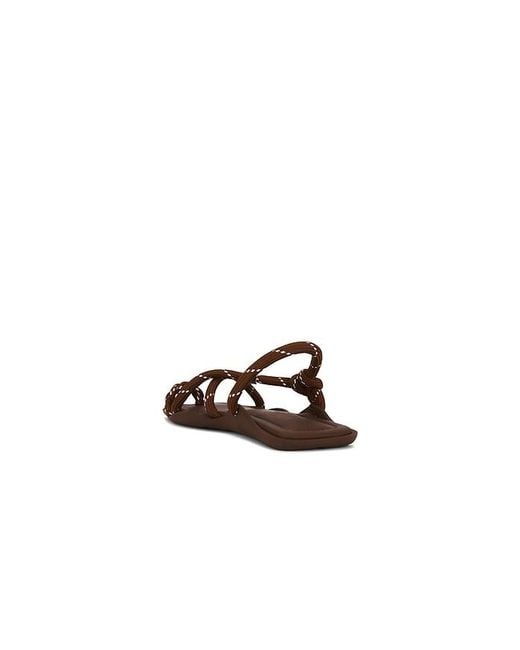 FLOWZE Brown Flò Square Sandal