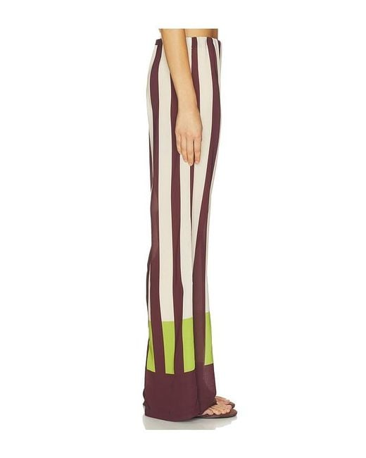 Baobab Multicolor Lulu Pants