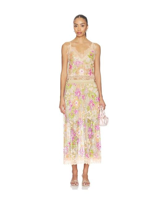 Le Superbe Multicolor Flori Culture Cami