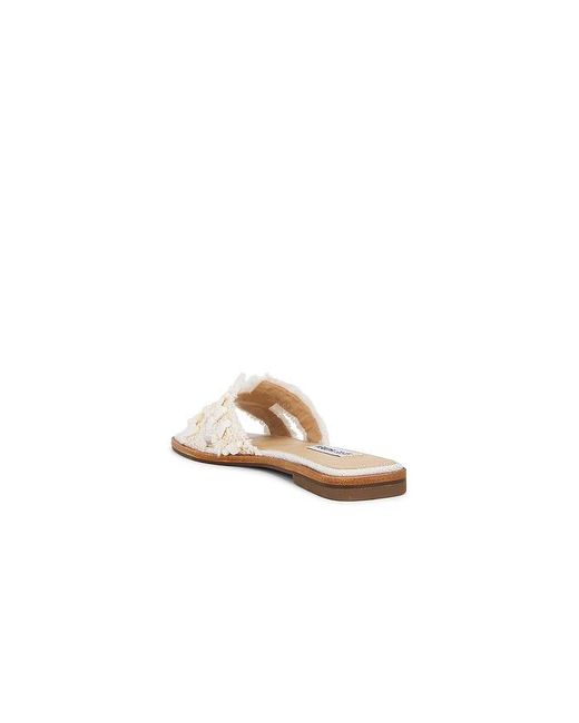 Steve Madden White Hadyn Self Sandal