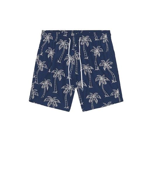 Trunks Surf & Swim Blue Sano 6.5 Swim Short for men
