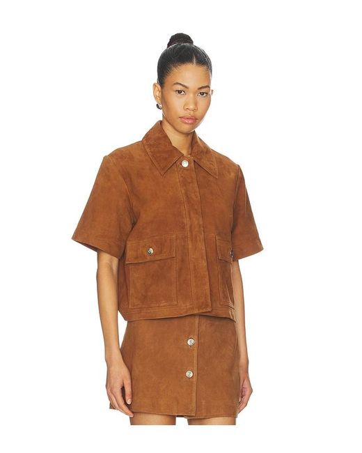 ALIGNE Brown Oberteil Jane