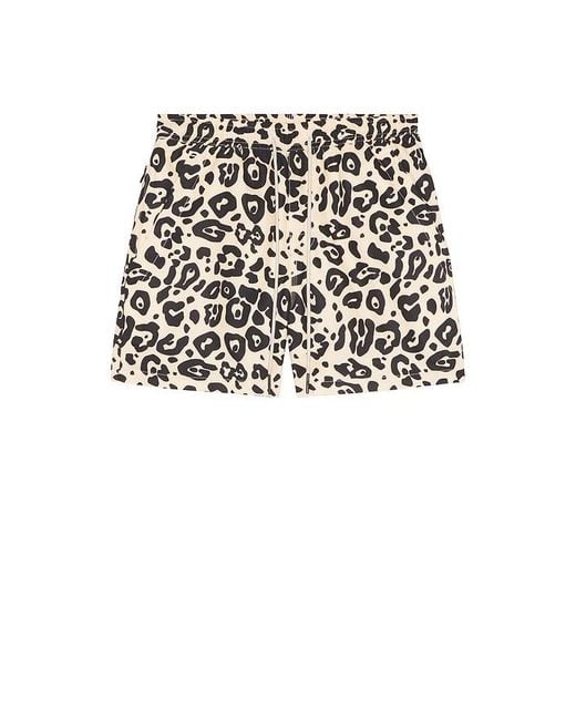 Oas Black Swim Shorts for men