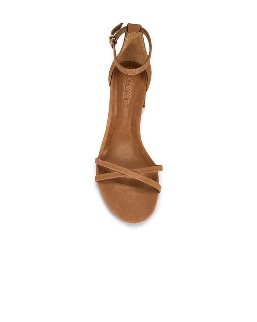 Steve Madden Multicolor Rae Sandal