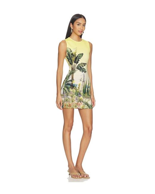 Alice + Olivia Yellow Wynell Fitted Mini Dress