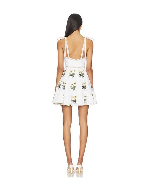 Rosewater House White Tara Mini Dress