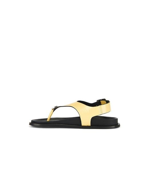 Alohas Multicolor Harbor Onix Sandals