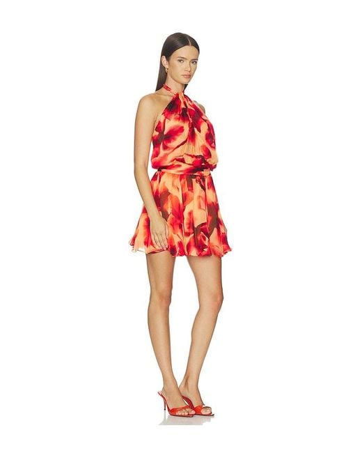 Rococo Sand Red Sash Tie Mini Dress