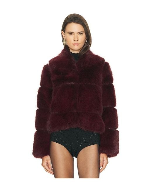 Apparis Red Sai Sable Coat