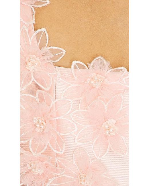 Elliatt Pink Kleid Elder