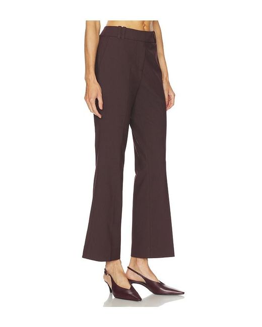 Camila Coelho Multicolor Hose Noeme