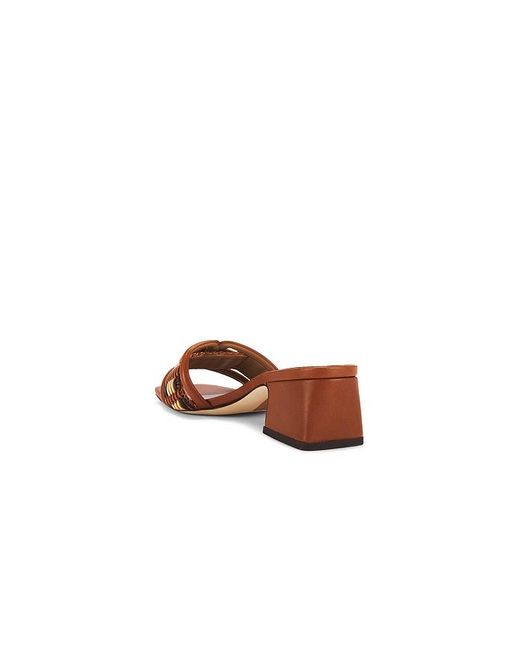 Sam Edelman Brown Waylon Sandal
