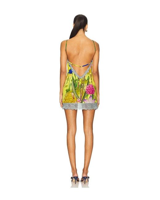 Muma World Yellow X Revolve
