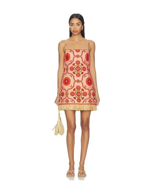 Cara Cara Red Valencia Mini Dress