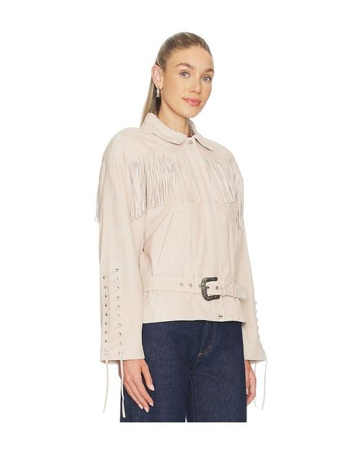 Lamarque Blue Kyel Suede Jacket