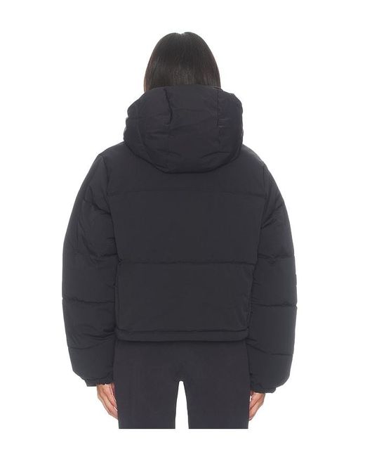 White/space Blue Cropped Puffer Jacket